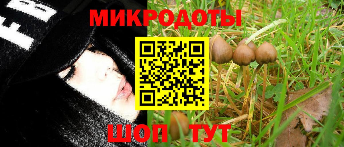 Галлюциногенные грибы GOLDEN TEACHER Феодосия